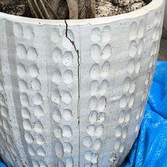 観葉植物（約1.5ｍ）鉢は割れていますの画像