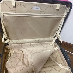 キャリーケース(ドタキャンされた為再投稿の画像