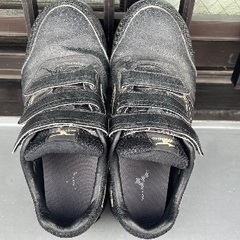 【ミズノ】安全靴　JSAA　A種　26.0cmの画像