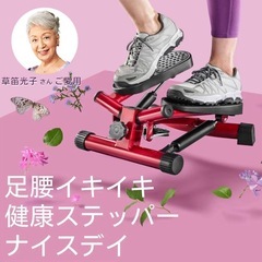健康ステッパー　ナイスディの画像
