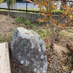 無料　庭石の画像