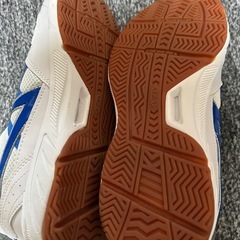 体育館シューズの画像