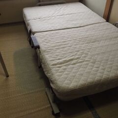 折りたたみベット、ベットの画像