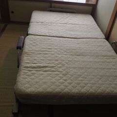 折りたたみベット、ベットの画像