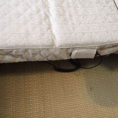 折りたたみベット、ベットの画像