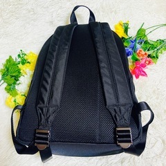 レア✨RALPH LAUREN✨ラルフローレン✨リュック✨バッグ✨スキー✨星条旗の画像