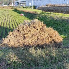 稲藁（軽トラ１台分）無料の画像