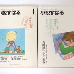 ★ 小説すばる ○ 2011年 コンプリート 全 12冊 ◇ 1 月号・2月号・3月号・4月号・5月号・6月号・7月号・8月号・9月号・10月号・11月号・12月号 ◇の画像