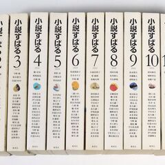 ★ 小説すばる ○ 2012年 コンプリート ○ 1 月号・2月号・3月号・4月号・5月号・6月号・7月号・8月号・9月号・10月号・11月号・12月号 ◇の画像