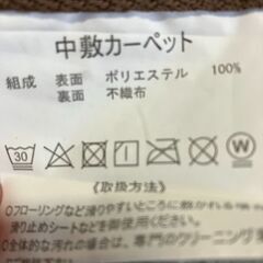 【お持ち帰り限定】☆寒い時期におすすめ！ホットカーペット（ラグ付き）（2畳用）商品番号:214の画像