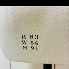 文化服装学院 9ARボディーの画像