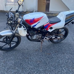 ns-1 実働　レストアベースの画像