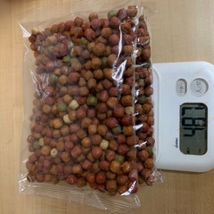 ゴン太のふっくらソフト　13歳以上　1950gの画像