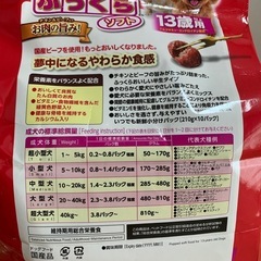 ゴン太のふっくらソフト　13歳以上　1950gの画像