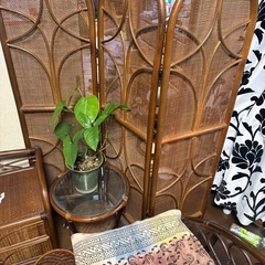 籐リビング10点セットの画像