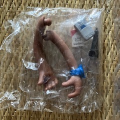 マイケル　ラウ　フィギュアFANS BE TOY ZOHO希少　現状品の画像