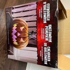 廃盤ハロウィンカボチャの画像