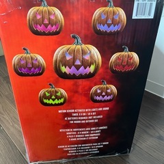 廃盤ハロウィンカボチャの画像