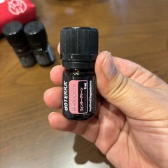 ドテラ　アロマ　ウィンターグリーン3本の画像