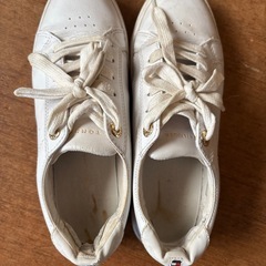 お話中　トミーヒルフィガー　スニーカー　23.5の画像