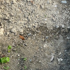 残土（無料）の画像