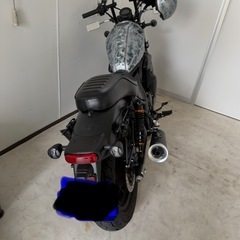 2023年　レブル250 reble250 の画像
