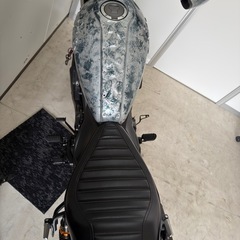 2023年　レブル250 reble250 の画像