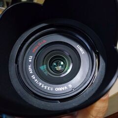 優良品 フード付き Panasonic LUMIX G VARIO F3.5-5.6 14-45mm ASPH. MEGA O.I.Sの画像