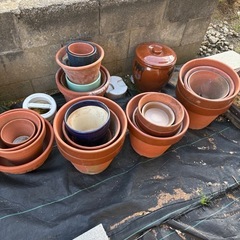 植木鉢、の画像