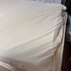 トゥルースリーパー　シングルの画像