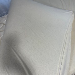 トゥルースリーパー　シングルの画像