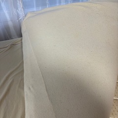 トゥルースリーパー　シングルの画像