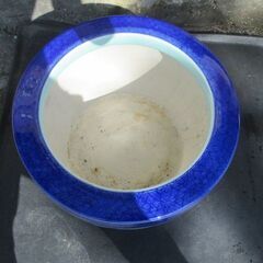 火鉢　唐津製　飼育用　メダカ　金魚の水槽　ヒビ割れ無しの画像