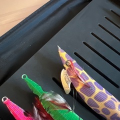 エギ　ケースセットの画像