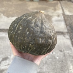 【カボチャ1個】本庄産　野菜　無農薬　販売　まとめ売り　セット　の画像