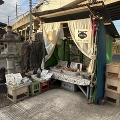 【カボチャ1個】本庄産　野菜　無農薬　販売　まとめ売り　セット　の画像