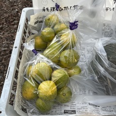 【花柚子8個】本庄産　野菜　無農薬　販売　まとめ売り　セット　の画像