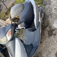 ホンダデイオの画像