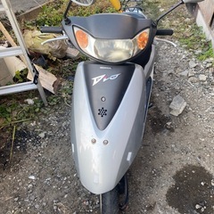 ホンダデイオの画像