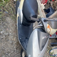 ホンダデイオの画像