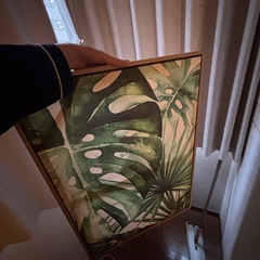 フランフランフレームの画像