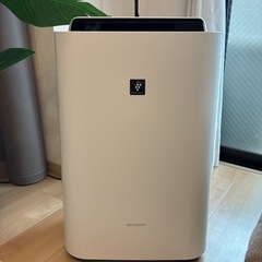 シャープ　加湿空気清浄機　KC-F50-W の画像