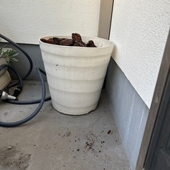 植木鉢　二つセットの画像