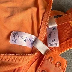 女性限定　ワコール　B65　の画像