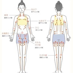 リンパマッサージに効果はあります！