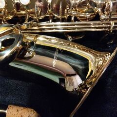 メイヴィス・アルトサックスの画像