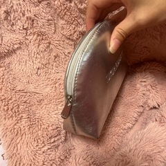 ディオール　ポーチ　レア物の画像