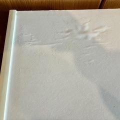 カラーボックス　無料で差し上げますの画像