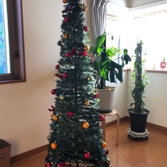 ポップアップ　クリスマスツリーの画像