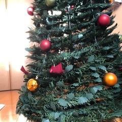ポップアップ　クリスマスツリーの画像